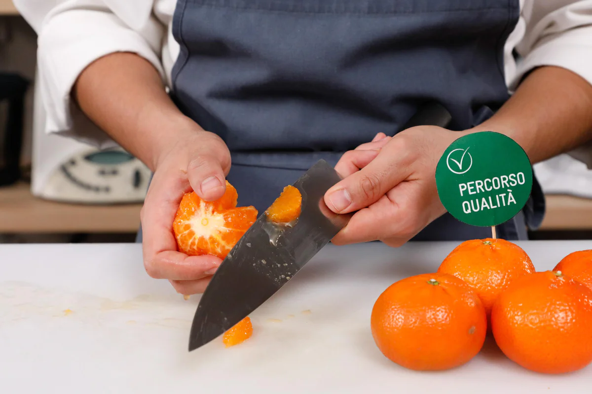www.conad.click