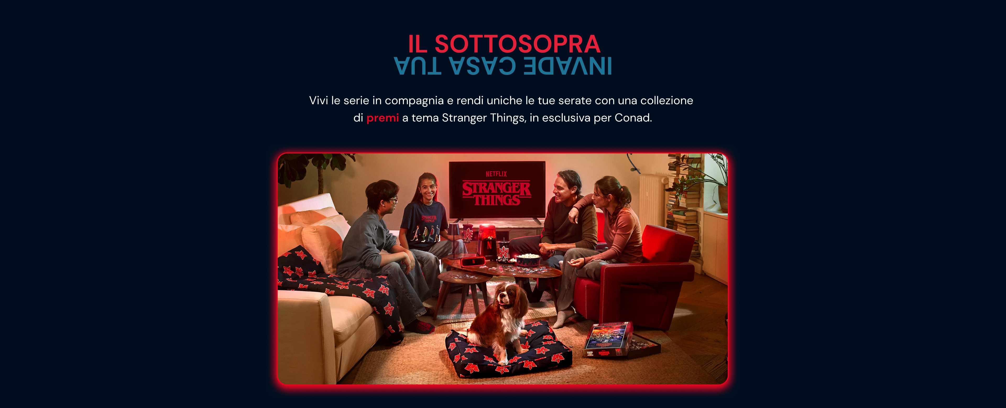 www.conad.click