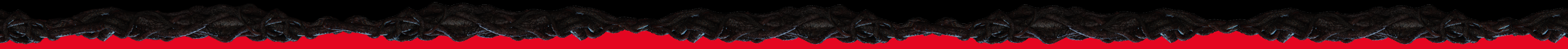 www.conad.click