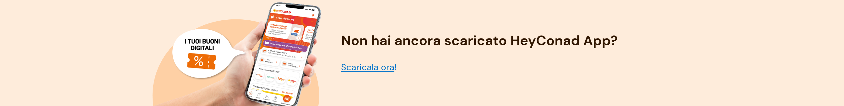 www.conad.click