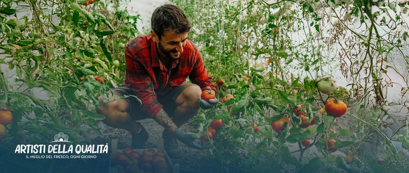 www.conad.click