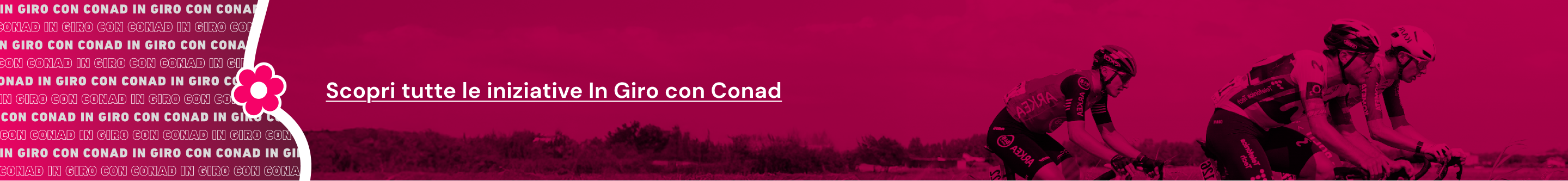 www.conad.click