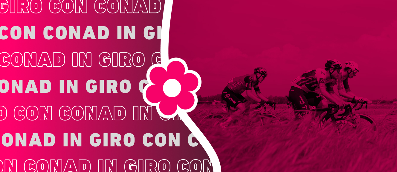 www.conad.click