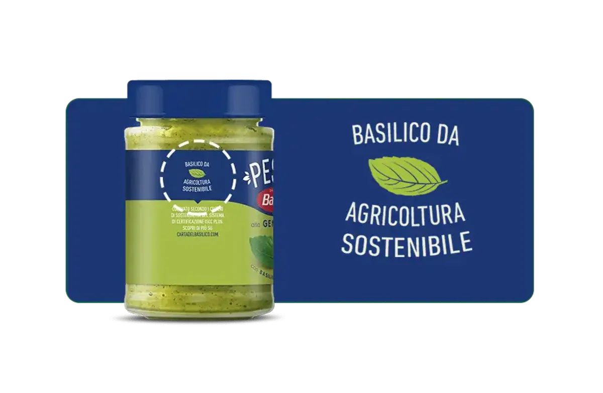 www.conad.click