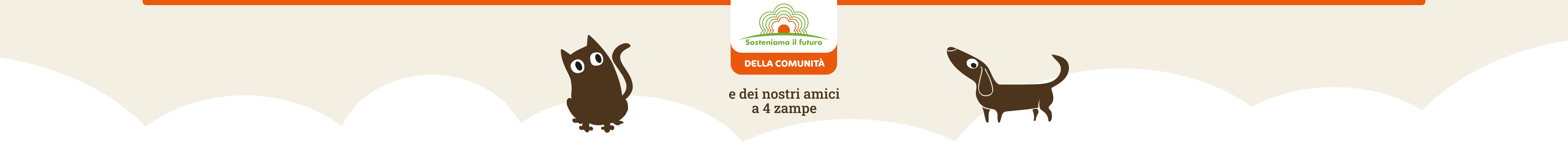 www.conad.click