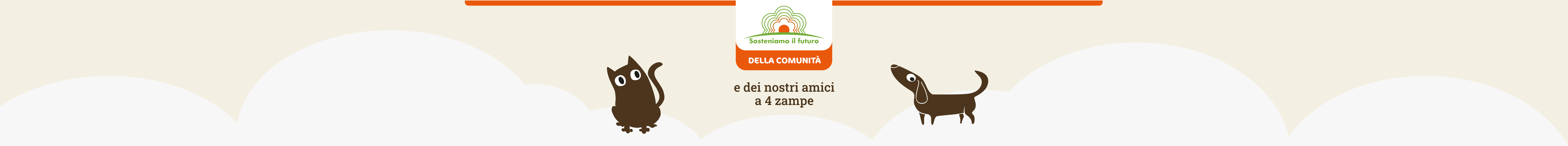 www.conad.click