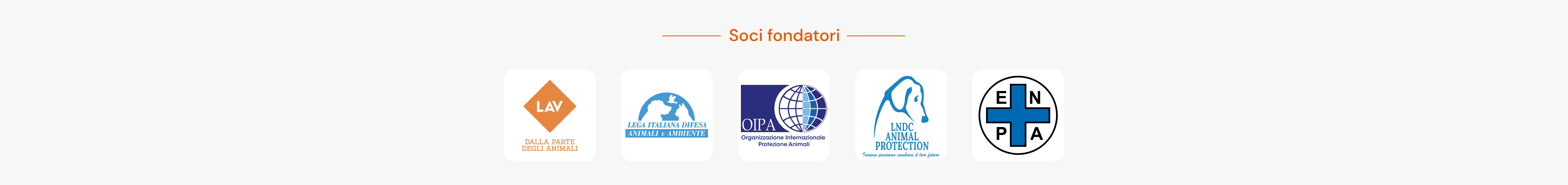 www.conad.click