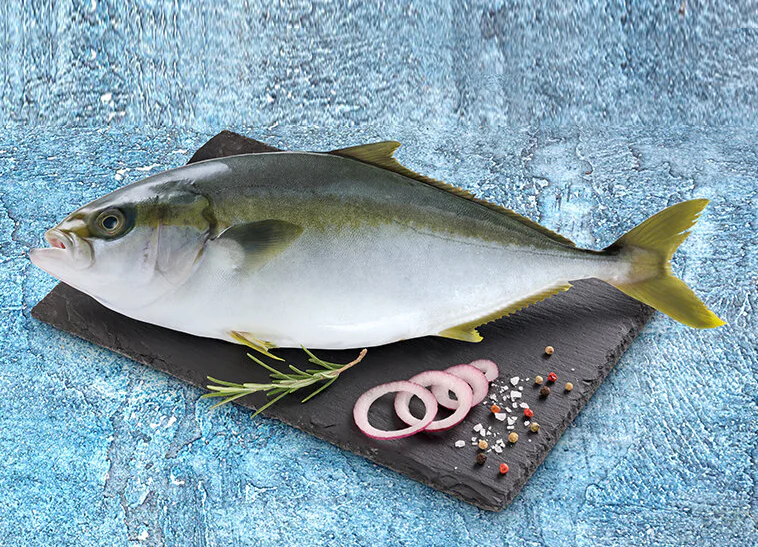 Ricciola