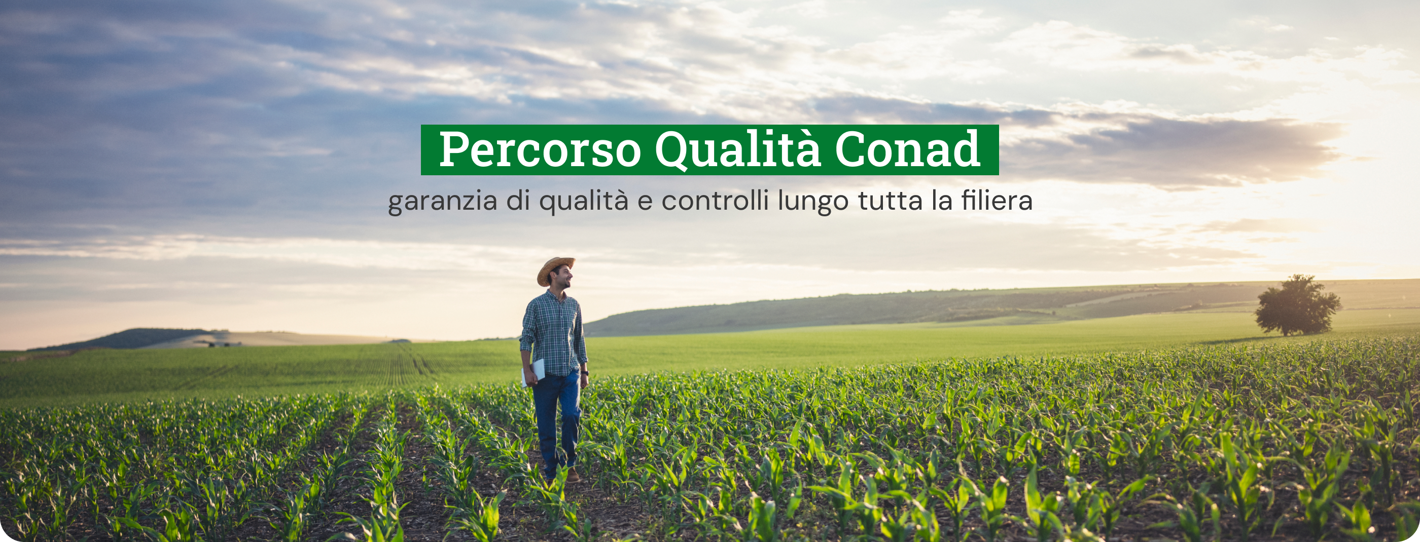www.conad.click