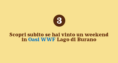 www.conad.click