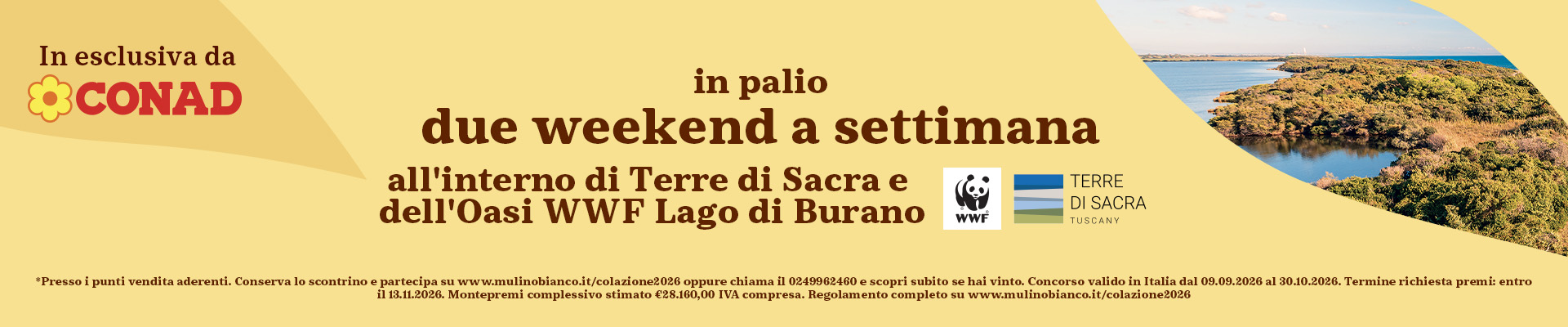 www.conad.click