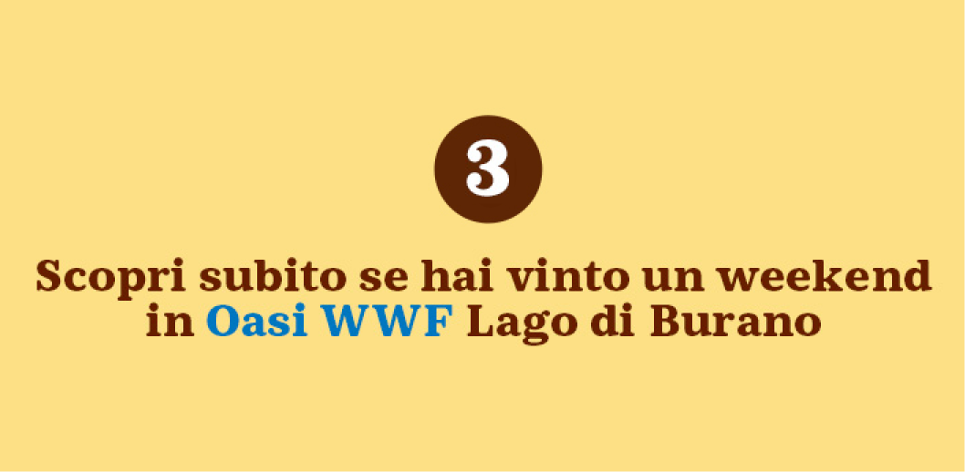 www.conad.click